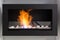 Fire in a bio fireplace working on ethanol fuel mounted on the wall