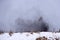 Fire and black smoke in the agricultural field where harvested wheat