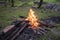 Fire camping burning wood - bonfire forest