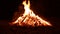 Fire coal burning firewood