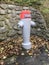 Fire-cock or water hydrant in village Urdord Switzerland  in autumn