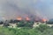 fire conflagration in a forest in Stavraki Ioannina Greece