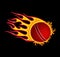 Fire Cricket Ball Logo