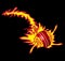 Fire Cricket Ball Logo