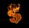 Fire dollar sign, isolated