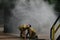 Fire fighter with fire hose at a fire incident, suppressing the blaze