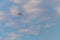 A fire fighter helicopter with a full basket of water flies against a beautiful sky