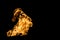 Fire flame on duck shaped on black isolated background. fire patterns