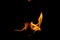 fire flame smoke background black