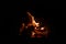 Fire flames on black background. Blazing campfire isolated on dark background