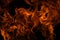 Fire flames isolated on black background. Fire burn flame isolated, flaming burning art design concept with space for