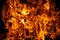 Fire flames isolated on black background. Fire burn flame isolated, flaming burning art design concept with space for