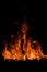 Fire flames isolated on black background. Fire burn flame isolated, flaming burning art design concept with space for