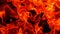 Fire flames texture background, realistic abstract orange flames pattern isolated on black