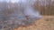 Fire in the Forest, Burning Dry Grass, Trees, Bushes, and Haystacks with Smoke. Slow motion