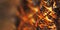 Fire, forest fires, danger. Blurred abstract background