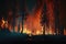 Fire in forest .Wildfire landscape, wildland