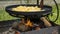 Fire fried potatoes. Potato roasting on frying pan on open fire