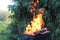 Fire in the grill for frying meat in nature on a picnic