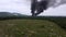 Fire happen near oil palm plantation