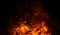 Fire, heat, passion, texture. Fire particles embers background . Design element