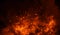 Fire, heat, passion, texture. Fire particles embers background . Design element