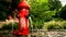 Fire Hydrant 1