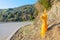 Fire Hydrant by a Fire Road in Runyon Canyon Park