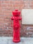 Fire hydrant or fireplug connection for firefighters in public