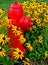 Fire hydrant and flowers