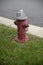 Fire hydrant in grass at road side