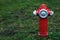 Fire hydrant on the green lawn on the street