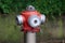 Fire hydrant top on green leaves and stone background