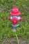 Fire Hydrants