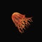 fire jellyfish, orange, red