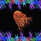 fire jellyfish, orange, red, lives in the sea or ocean glows