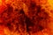 Fire lava concrete background.