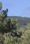 Fire lookout tower in forests of Valencia de Alcantara, Extremadura, Spain