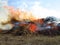 Fire open. Burning agricultural waste