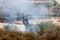 Fire in a Palestinian Field by Wall of Separation