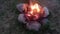 The fire pit is laid out in a circle with stones and is located among last year\\\'s dried grass on the river bank. A bonfire is bur