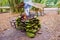 Fire pit place with stones in the jungle for barbecue outdoors camping