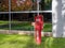 A fire protection indicator post in front of an office building in Issaquah, Washington, USA - October 16, 2021