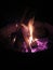 Fire purple wood camping smores