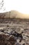 Fire ravaged burnt, arid wilderness landscape covered in small protea shrubs, with a dirt road