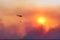 Fire rescue helicopter damping fire against sunset