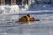 The fire rescue team on frozen river