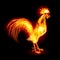 Fire Rooster