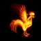 Fire Rooster