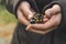 Fire salamander in hand reptile animal